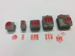 SOLO taxonomy stamps