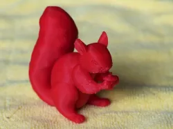 squirrel