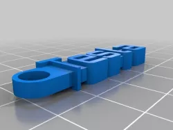 Tesla Customized Message Keychain