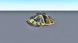 Animated rigged walking turtle Low-poly  3D model