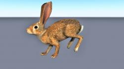 rabbit running animation 3D Models | Page 1 | STLFinder