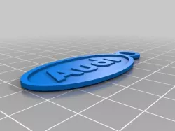Audi sparekey keychain