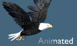 bald eagle animated 3D model
