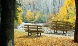 BENCH