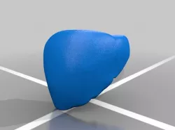 BodyParts3D liver