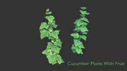 Cucumber Plant With Fruit Low-poly  3D model