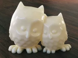 cuddling Owls