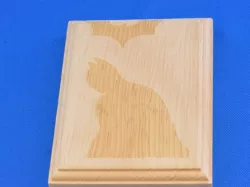 Dark Knight Panel