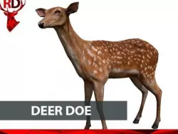 Deer doe Low-poly  3D model