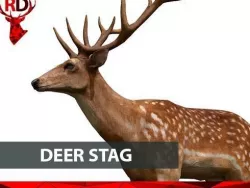 Deer stag Low-poly  3D model