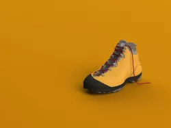 DENA hiking boots
