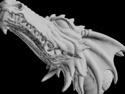 Dragon Head