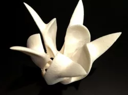 Egg flower