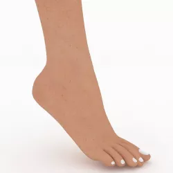 Female Foot 3D model