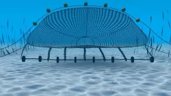 fishing net 3d model and rig in Maya 3D model