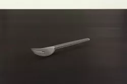 Fork