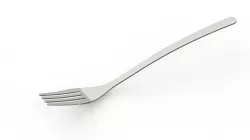 Fork