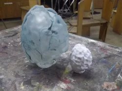 Glass brain coral (1) scanned with 123D Catch