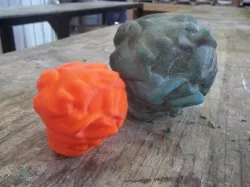 Glass brain coral (2) scanned with 123D Catch