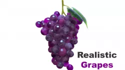Grape 3D model