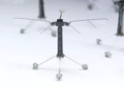 Harvard's Robotic Insect Flying 