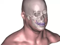 Head/Bust with skull inside