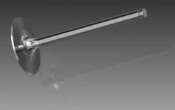 Intake Valve
