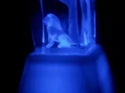 Lighted Curio Base