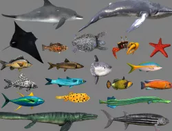 Low poly Fish Collection Animated - Game Ready Pack 4 Low-poly  3D model