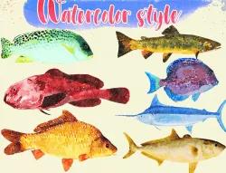 Low Poly Fish Illustration Collection - Animted Part 1 Low-poly  3D model