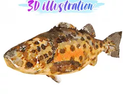 Low Poly Giant Sea Bass Illustration Animated - Game Ready Low-poly  3D model