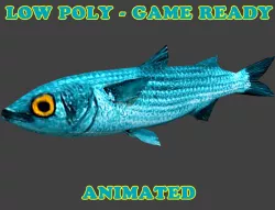 Low Poly White Mullet Fish Animated - Game Ready Low-poly  3D model