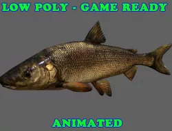 Low Poly Whitefish Animated - Game Ready Low-poly  3D model