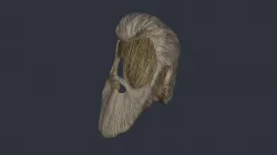 Man hair long facial hair low poly Low-poly  3D model