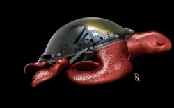 Mechanical Turtle By Nefes 3D model
