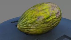 Melon Piel De Sapo Low-poly  3D model