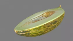 Melon Piel De Sapo slice Low-poly  3D model