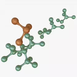 Multiple Molecules 3D model