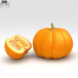 Pumpkin 3D model