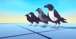 Ravens and Crows Low-poly  3D model