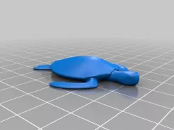 Sea Turtle