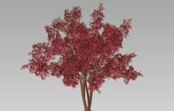tree - 3d 3D model