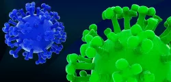 Virus 3D model 3D model