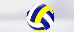 volleyball