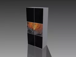 Wardrobe Railing door