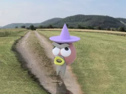 Angry Wizard Bird