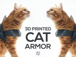 CAT ARMOR