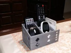 Remote control organizer