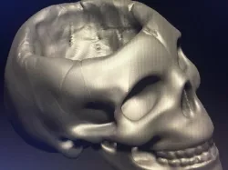 Skull Container