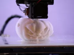 SPOOKY Pumpkin thing